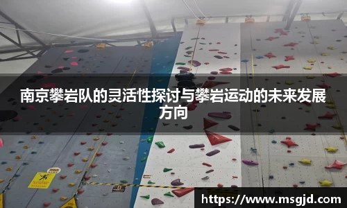 南京攀岩队的灵活性探讨与攀岩运动的未来发展方向