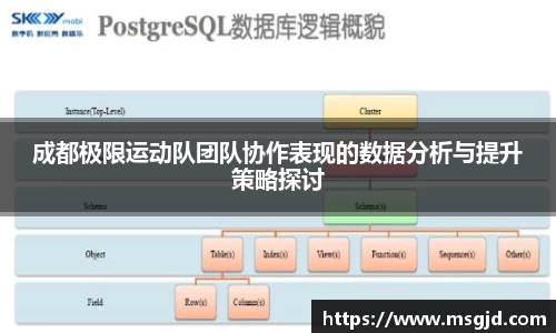 成都极限运动队团队协作表现的数据分析与提升策略探讨
